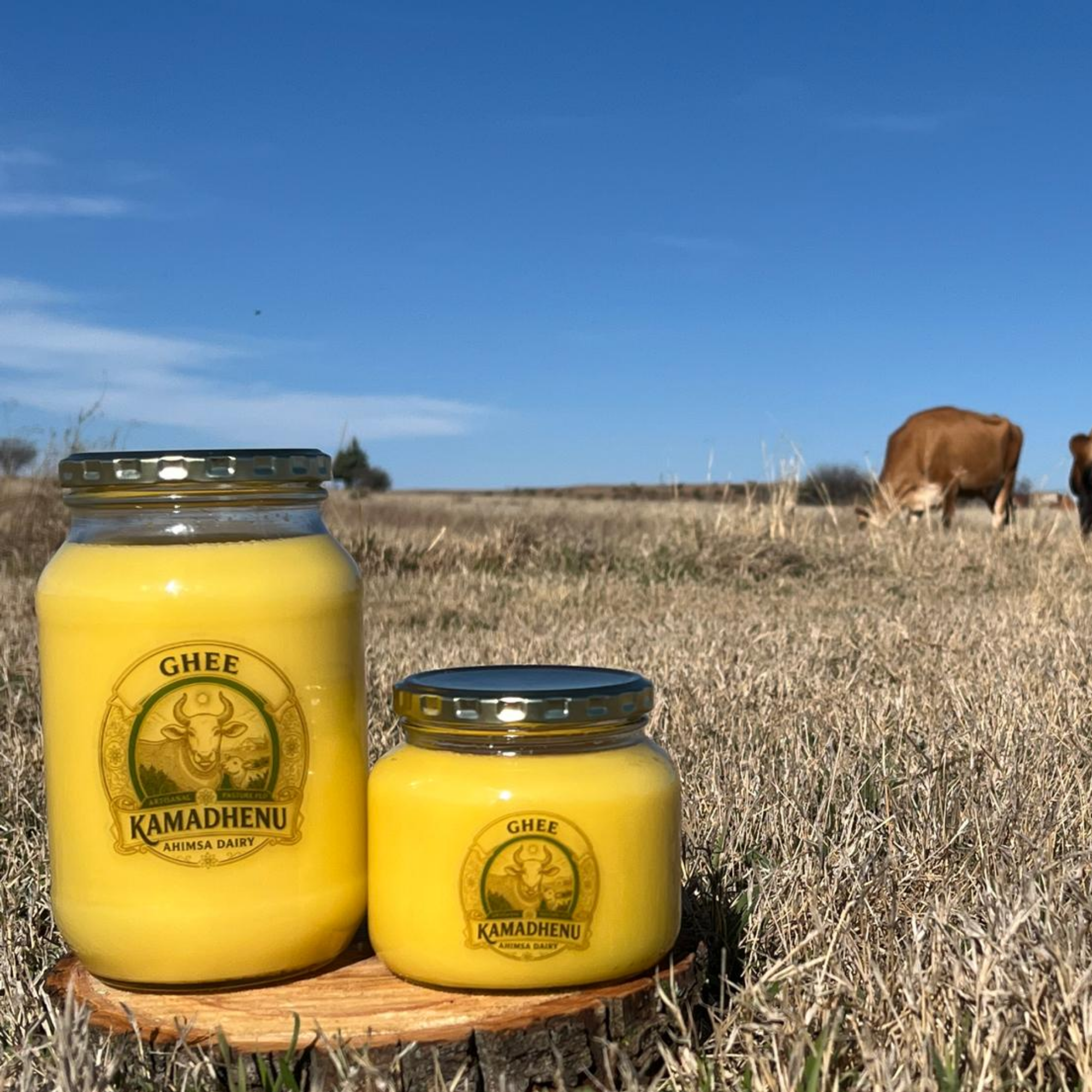 Kamadhenu Ahimsa Dairy | Pure Cows Milk Ghee