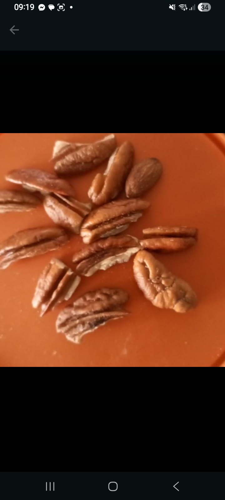 Premium Pecan Nuts 1kg
